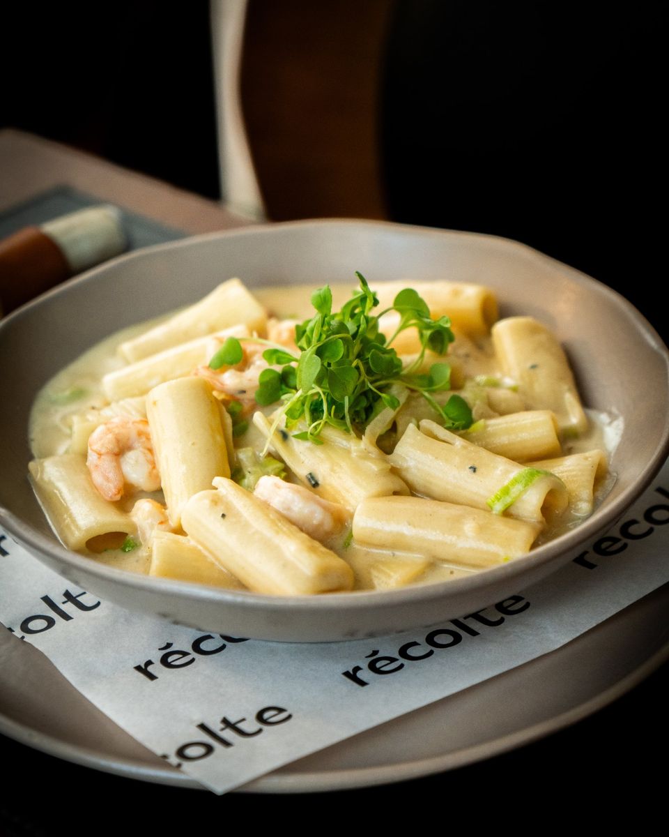 Rigatoni ao molho branco com camarão e brotos, sobre o papel com a marca do Récolte
